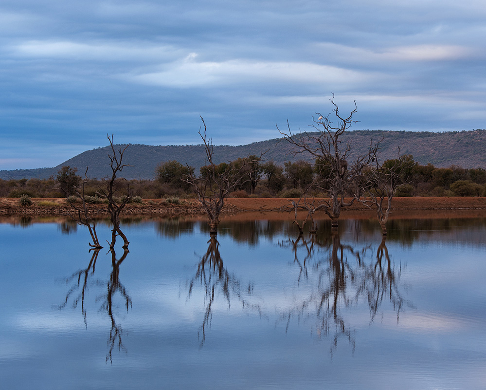 Madikwe Game Reserve Morning Reflections